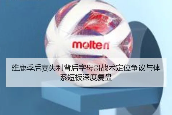 雄鹿季后赛失利背后字母哥战术定位争议与体系短板深度复盘
