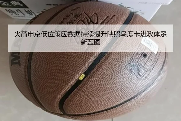 火箭申京低位策应数据持续提升映照乌度卡进攻体系新蓝图